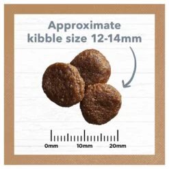 Ivory Coat Grain Free Dog Food Adult Lamb & Sardine -Pet Supplies Sales ivory coat grain free dog food adult lamb sardinekellyville pets 326210