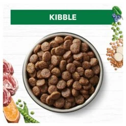 Ivory Coat Grain Free Dog Food Adult Large Breed Lamb -Pet Supplies Sales ivory coat grain free dog food adult large breed lambkellyville pets 653729