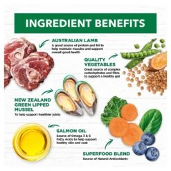 Ivory Coat Grain Free Dog Food Adult Large Breed Lamb -Pet Supplies Sales ivory coat grain free dog food adult large breed lambkellyville pets 768193