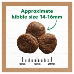 Ivory Coat Grain Free Dog Food Adult Large Breed Lamb -Pet Supplies Sales ivory coat grain free dog food adult large breed lambkellyville pets 875562