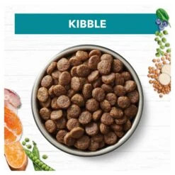 Ivory Coat Grain Free Dog Food Adult Salmon & Ocean Fish -Pet Supplies Sales ivory coat grain free dog food adult salmon ocean fishkellyville pets 748163