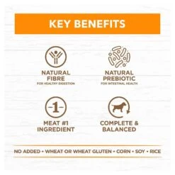 Ivory Coat Grain Free Dog Food Can Adult Chicken Stew 19 Ivory Coat Grain Free Dog Food Can Adult Chicken Stew -Pet Supplies Sales ivory coat grain free dog food can adult chicken stewkellyville pets 479672