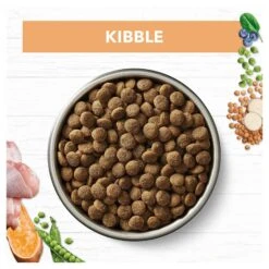 Ivory Coat Grain Free Dog Food Puppy Chicken -Pet Supplies Sales ivory coat grain free dog food puppy chickenkellyville pets 343600