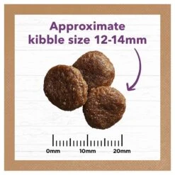 Ivory Coat Grain Free Dog Food Senior/Reduced Fat Turkey 18 Ivory Coat Grain Free Dog Food Senior/Reduced Fat Turkey -Pet Supplies Sales ivory coat grain free dog food seniorreduced fat turkeykellyville pets 414375