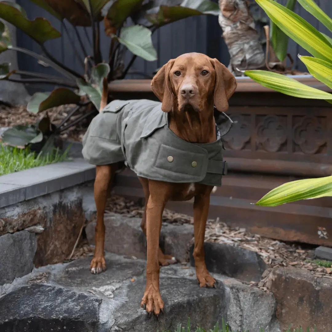 Kazoo Aussie Oilskin Waterproof Dog Coat - Olive 4 Kazoo Aussie Oilskin Waterproof Dog Coat - Olive - Image 2