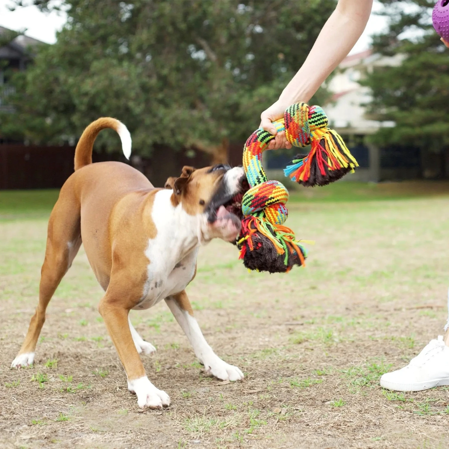 Kazoo Braided Rope Knot Bone Dog Toy 5 Kazoo Braided Rope Knot Bone Dog Toy - Image 3