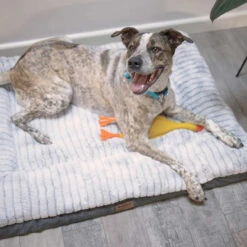 Kazoo Cloud Comfort Light Grey Dog Bed -Pet Supplies Sales kazoo cloud comfort light grey dog bedkellyville pets 138419