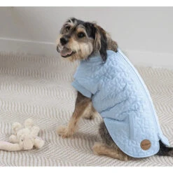 Kazoo Flower Dog Jacket - Blue -Pet Supplies Sales kazoo flower dog jacket bluekellyville pets 608247