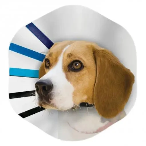 Kazoo Recovery Cone Collar 4 Kazoo Recovery Cone Collar - Image 2