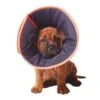 Kazoo Soft Recovery Collar -Pet Supplies Sales kazoo soft recovery collarkellyville pets 245608