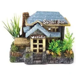 Kazoo Sushi Bar With Plants Medium 15.5cm