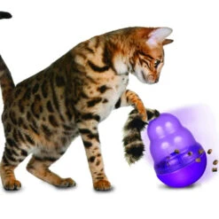 Kong Wobbler Cat Toy -Pet Supplies Sales kong wobbler cat toykellyville pets 754667