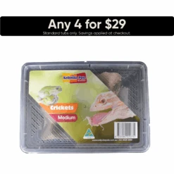 Live Crickets - Pisces Enterprises -Pet Supplies Sales live crickets pisces enterpriseskellyville pets 432202