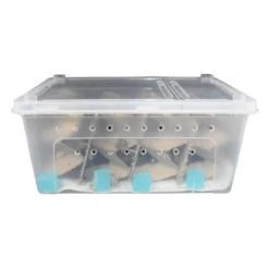 Live Crickets - Pisces Enterprises -Pet Supplies Sales live crickets pisces enterpriseskellyville pets 598822