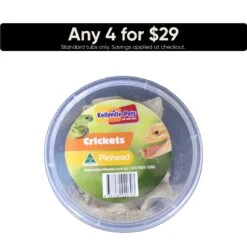 Live Crickets - Pisces Enterprises -Pet Supplies Sales live crickets pisces enterpriseskellyville pets 742615