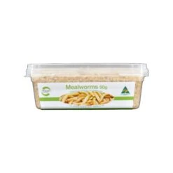 Live Mealworms - Pisces Enterprises -Pet Supplies Sales live mealworms pisces enterpriseskellyville pets 635067