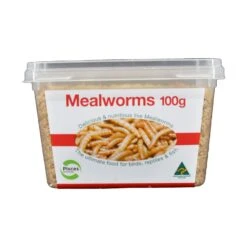 Live Mealworms - Pisces Enterprises -Pet Supplies Sales live mealworms pisces enterpriseskellyville pets 717370