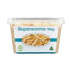 Live Superworms -Pet Supplies Sales live superwormskellyville pets 445379