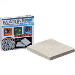 Marine Pure 8x8x1 Plate