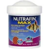 Nutrafin Max Medium Tropical Granules 1 Nutrafin Max Medium Tropical Granules -Pet Supplies Sales nutrafin max medium tropical granuleskellyville pets 524297