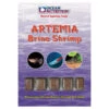 Ocean Nutrition Frozen Artemia Brine Shrimp -Pet Supplies Sales ocean nutrition frozen artemia brine shrimpkellyville pets 656158