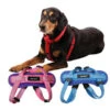 Pet One Reflective Adjustable Dog Harness -Pet Supplies Sales pet one reflective adjustable dog harnesskellyville pets 984802