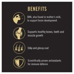 Pro Plan Cat Food Kitten Chicken -Pet Supplies Sales pro plan cat food kitten chickenkellyville pets 189487