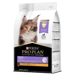 Pro Plan Cat Food Kitten Chicken -Pet Supplies Sales pro plan cat food kitten chickenkellyville pets 548731