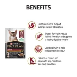 Pro Plan Cat Food Pouch Adult Chicken & Gravy -Pet Supplies Sales pro plan cat food pouch adult chicken gravykellyville pets 988854