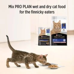 Pro Plan Cat Food Pouch Adult Senior 7+ -Pet Supplies Sales pro plan cat food pouch adult senior 7kellyville pets 360990