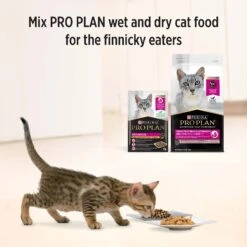 Pro Plan Cat Food Pouch Adult Sensitive Chicken & Gravy 15 Pro Plan Cat Food Pouch Adult Sensitive Chicken & Gravy -Pet Supplies Sales pro plan cat food pouch adult sensitive chicken gravykellyville pets 111596