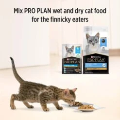 Pro Plan Cat Food Pouch Adult Urinary Health Chicken & Gravy 17 Pro Plan Cat Food Pouch Adult Urinary Health Chicken & Gravy -Pet Supplies Sales pro plan cat food pouch adult urinary health chicken gravykellyville pets 658553