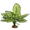 Reptile One Plant Brandtianum With Base 1 Reptile One Plant Brandtianum With Base -Pet Supplies Sales reptile one plant brandtianum with basekellyville pets 100774