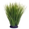 Reptile One Plant Spinifex Green On Base
