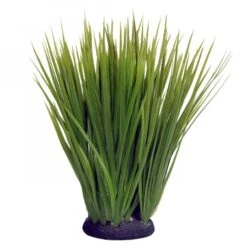 Reptile One Plant Spinifex Green On Base