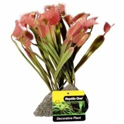 Reptile One Plant Venus Flytrap With Pumice Base