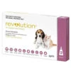 Revolution For Puppies & Kittens Up To 2.5kg 2 Revolution For Puppies & Kittens Up To 2.5kg -Pet Supplies Sales revolution for puppies kittens up to 25kgkellyville pets 729942