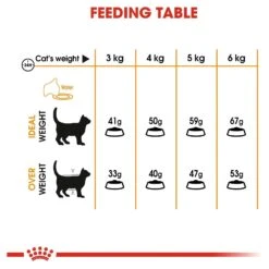 Royal Canin Cat Food Adult Hair & Skin Care 8 Royal Canin Cat Food Adult Hair & Skin Care -Pet Supplies Sales royal canin cat food adult hair skin carekellyville pets 198169