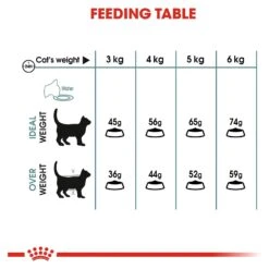 Royal Canin Cat Food Adult Hairball Care -Pet Supplies Sales royal canin cat food adult hairball carekellyville pets 626675