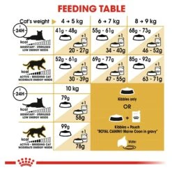 Royal Canin Cat Food Adult Maine Coon -Pet Supplies Sales royal canin cat food adult maine coonkellyville pets 352382