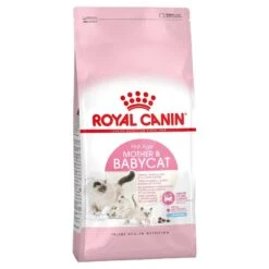 Royal Canin Cat Food Kitten Mother & Baby Cat
