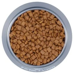 Royal Canin Cat Food Kitten -Pet Supplies Sales royal canin cat food kittenkellyville pets 566938
