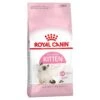Royal Canin Cat Food Kitten -Pet Supplies Sales royal canin cat food kittenkellyville pets 748575