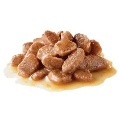 Royal Canin Cat Food Pouch Adult Hairball Care In Gravy -Pet Supplies Sales royal canin cat food pouch adult hairball care in gravykellyville pets 772423