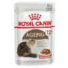 Royal Canin Cat Food Pouch Ageing 12+ Gravy -Pet Supplies Sales royal canin cat food pouch ageing 12 gravykellyville pets 718182