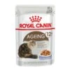 Royal Canin Cat Food Pouch Ageing 12+ Jelly -Pet Supplies Sales royal canin cat food pouch ageing 12 jellykellyville pets 887001