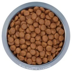 Royal Canin Dog Food Adult 7+ Medium -Pet Supplies Sales royal canin dog food adult 7 mediumkellyville pets 882877