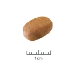 Royal Canin Dog Food Adult Maltese Terrier 7 Royal Canin Dog Food Adult Maltese Terrier -Pet Supplies Sales royal canin dog food adult maltese terrierkellyville pets 720933