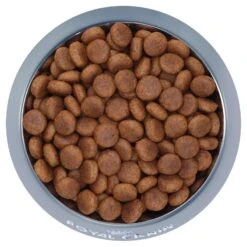 Royal Canin Dog Food Adult Maxi -Pet Supplies Sales royal canin dog food adult maxikellyville pets 127148