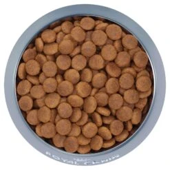 Royal Canin Dog Food Adult Medium 8 Royal Canin Dog Food Adult Medium -Pet Supplies Sales royal canin dog food adult mediumkellyville pets 613695